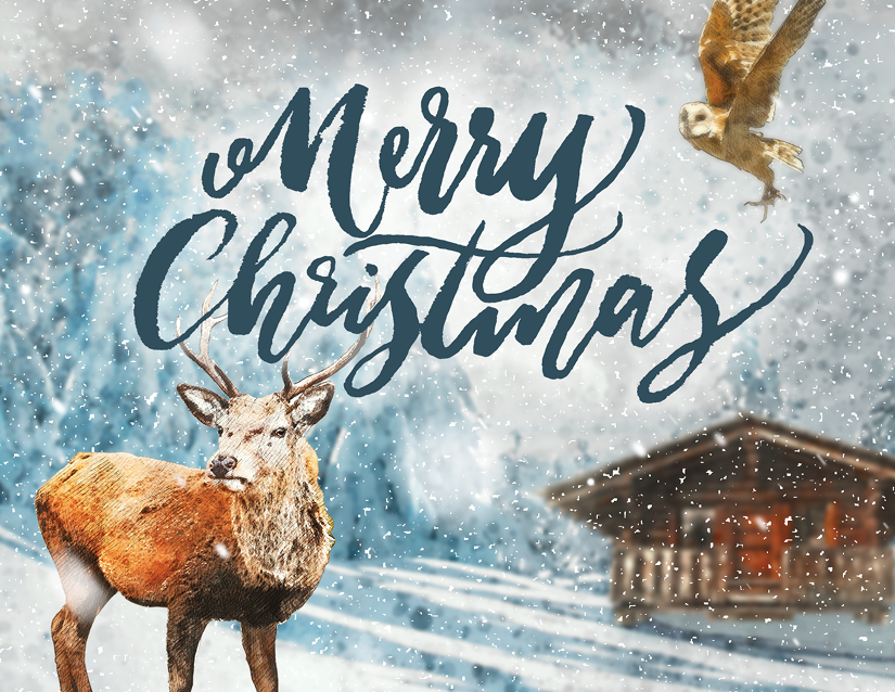 Alaskan Merry Christmas